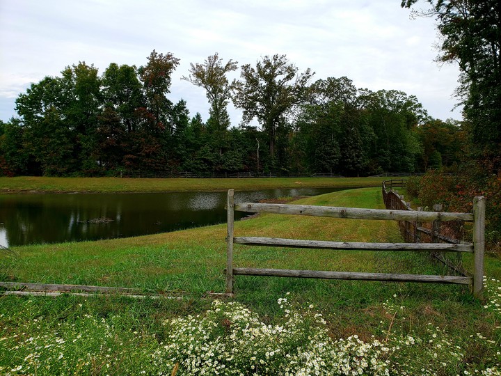 Peaceful spot