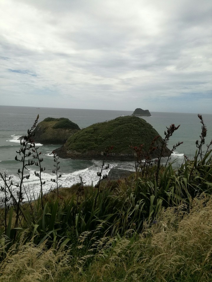 Ocean views