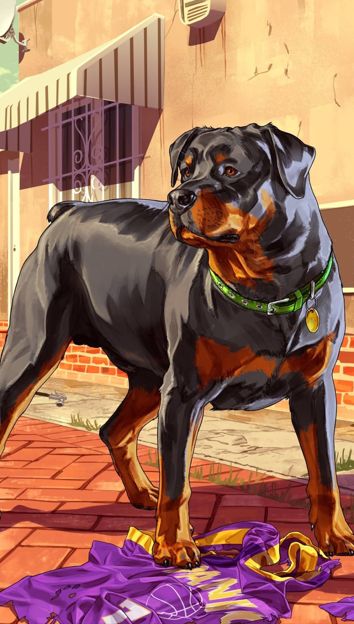 gta5