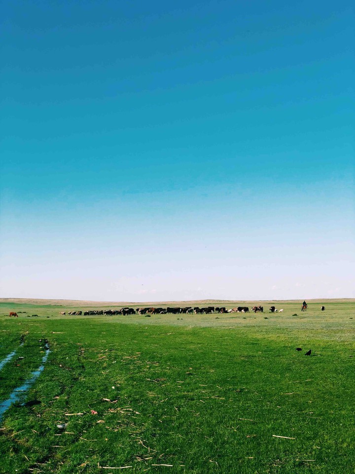 Nomad’s life