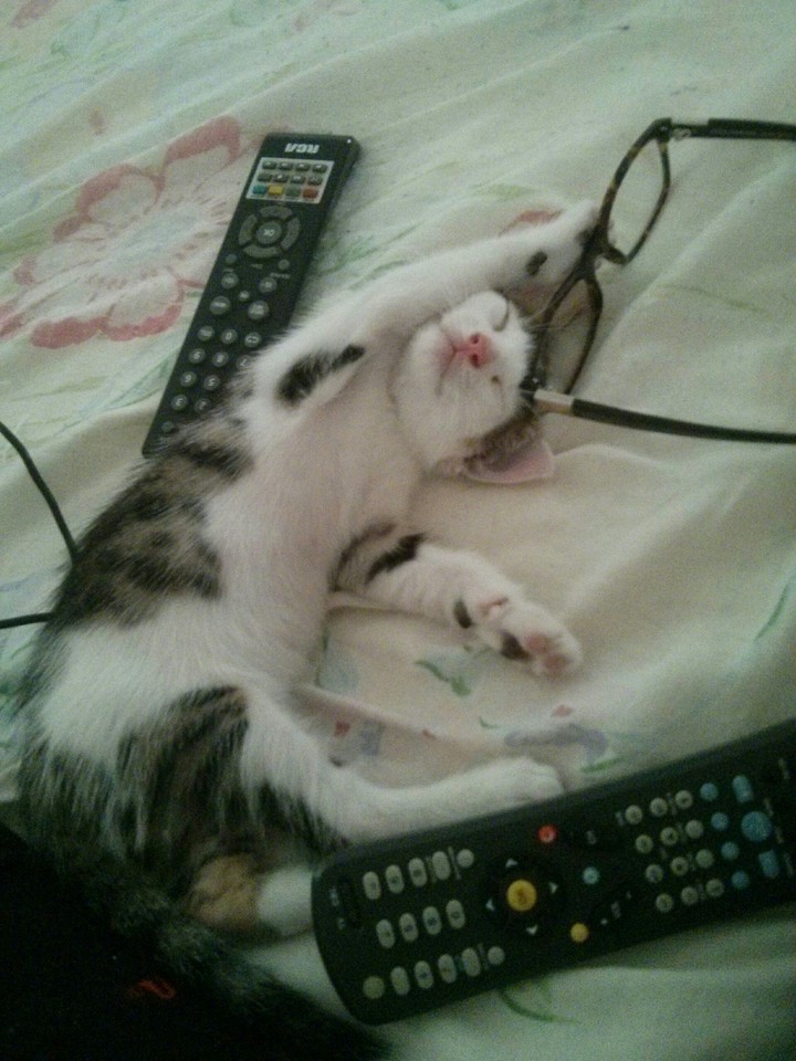 Mirando TV me dormí