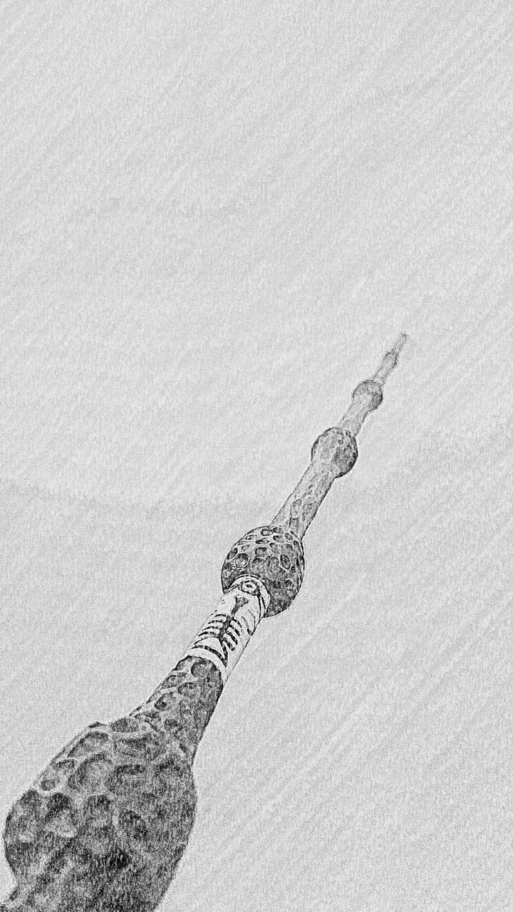 Dumbledores wand