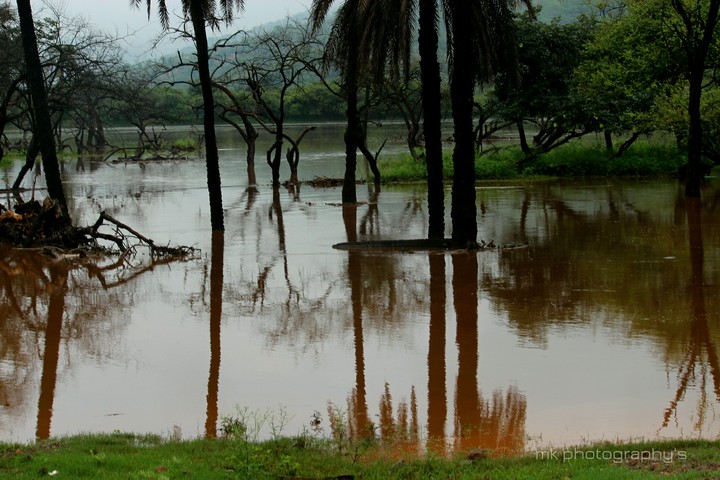 landscape