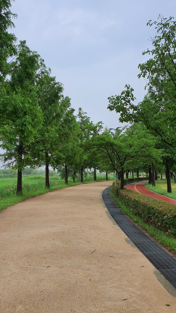 흐린 아침(cloudy morning)