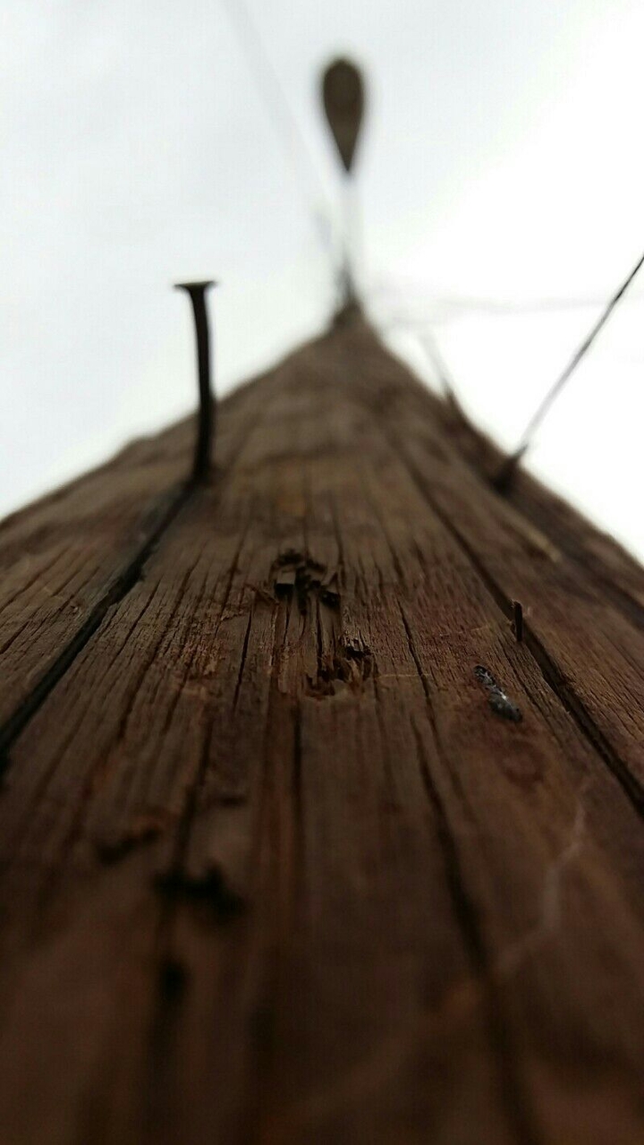 #wood