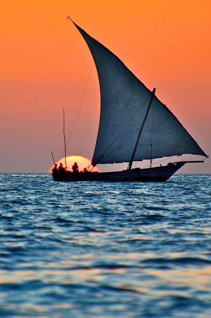 Sea