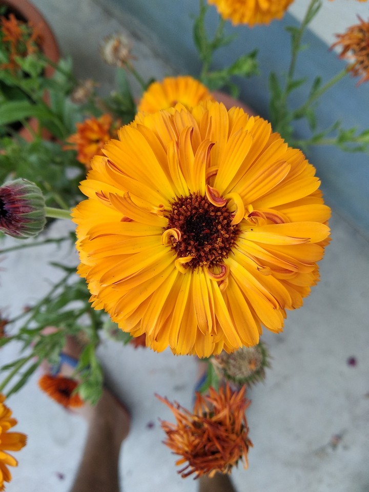 #Beauty of nature