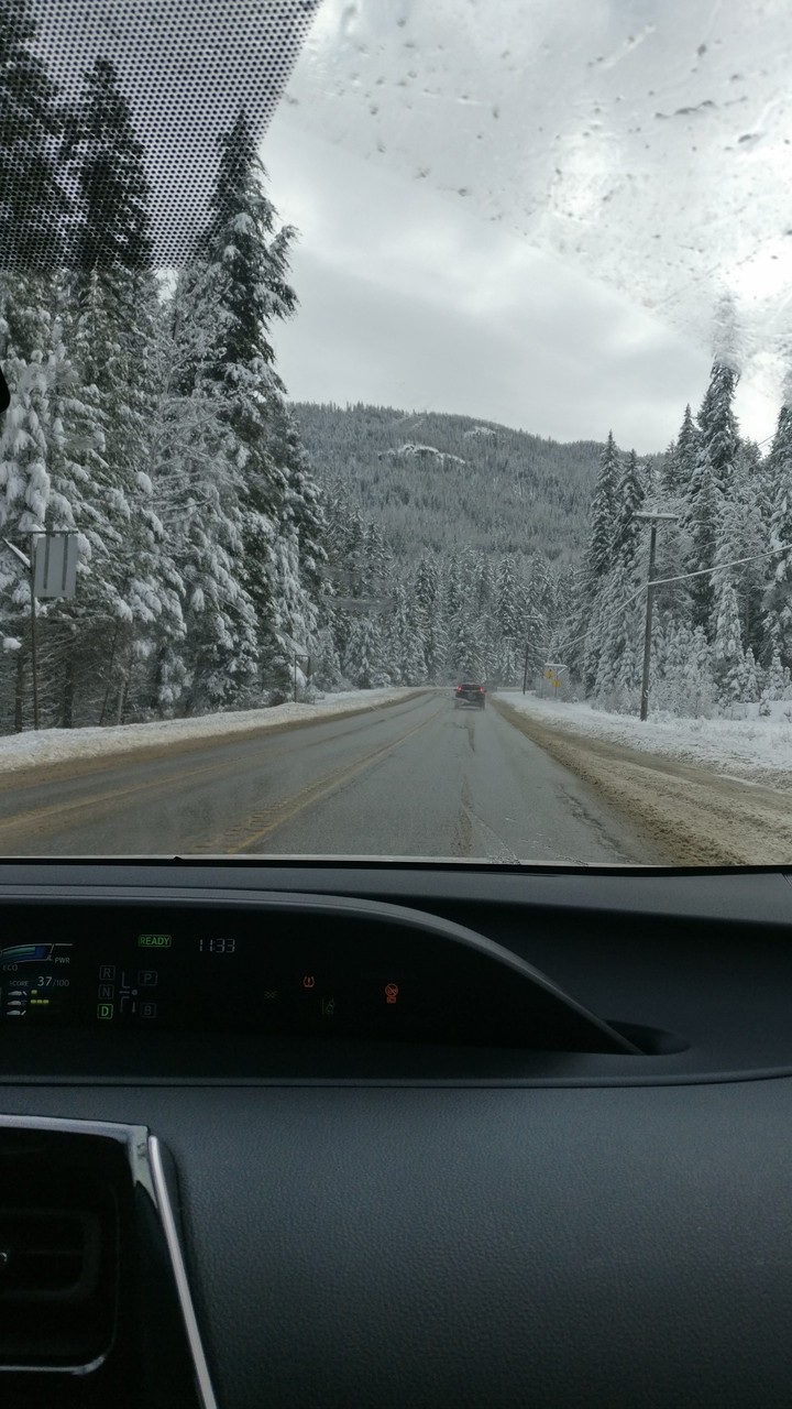 snow scenes