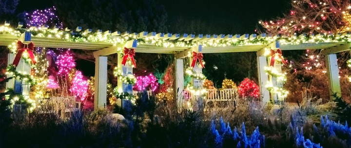 lights