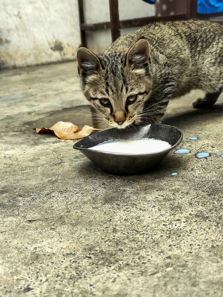 hunger makes me angry