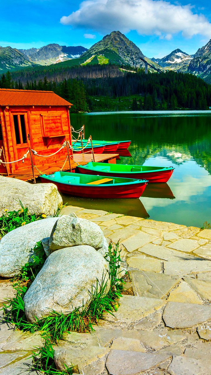 beauty of nature