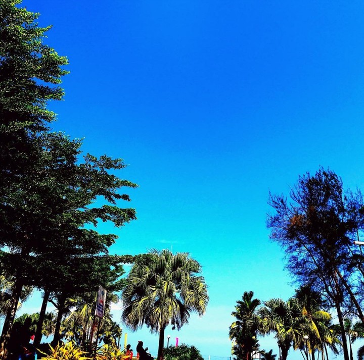 Blue Sky