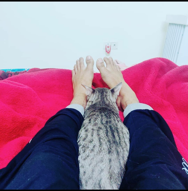 Kitty Relaxing