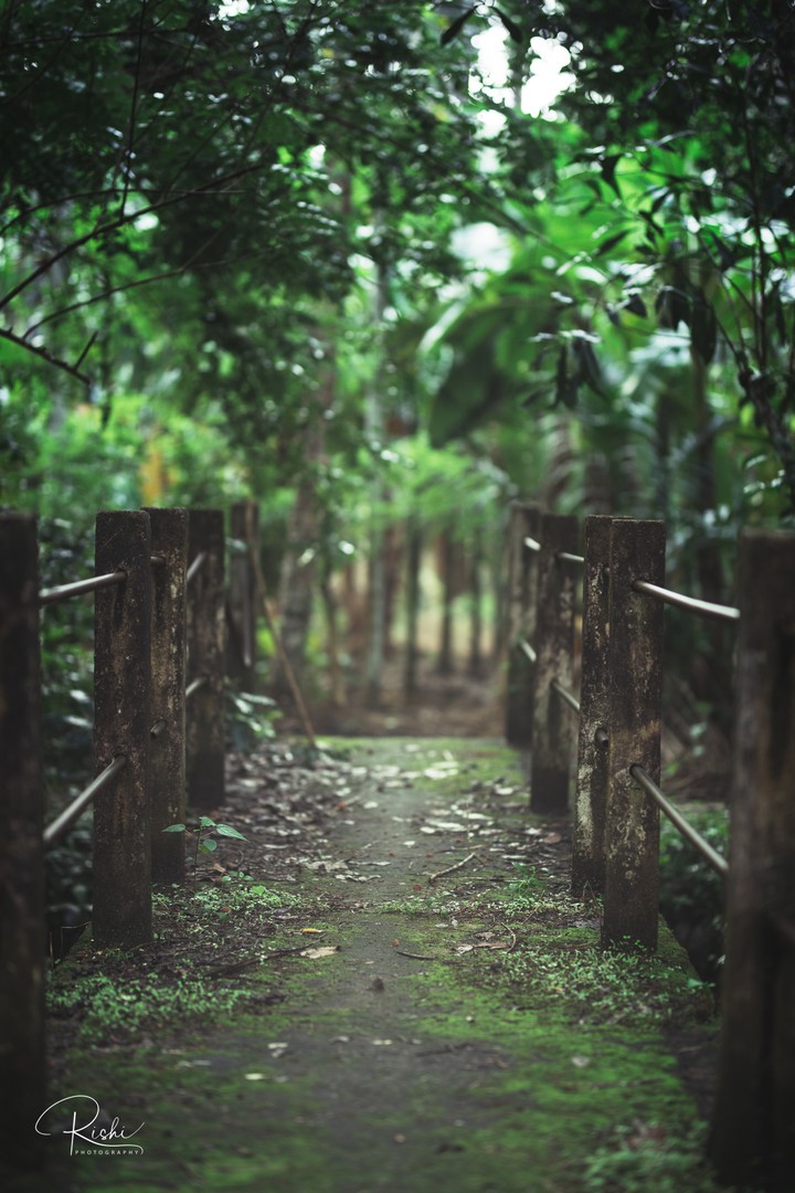 RETRO Bridge