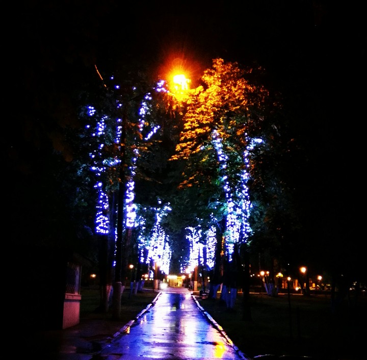 night sity