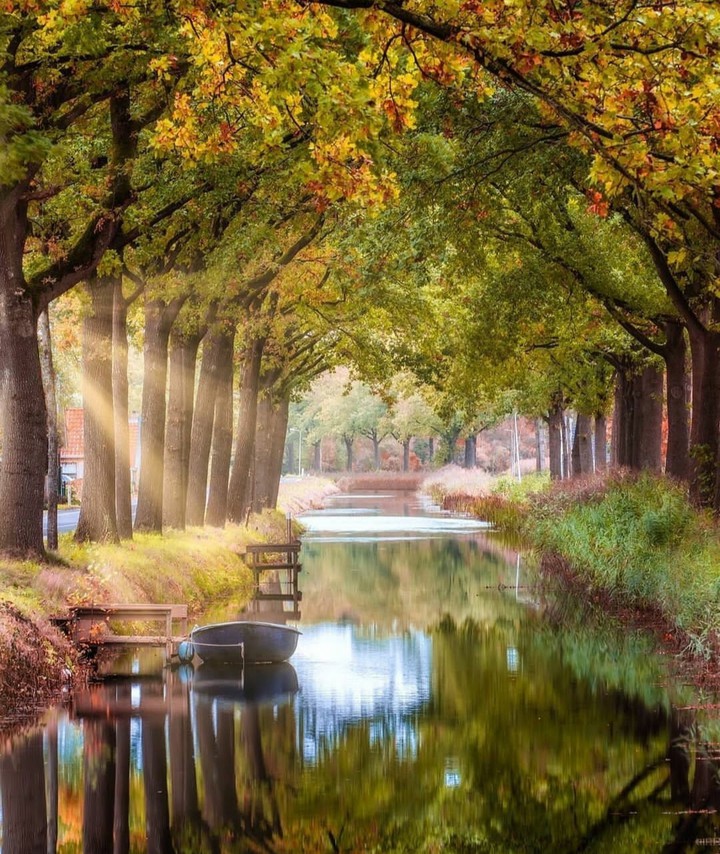 Scenery