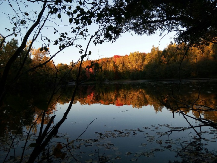 Autumn