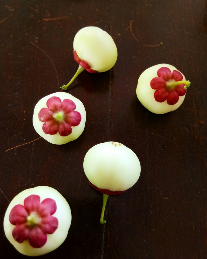 the seed