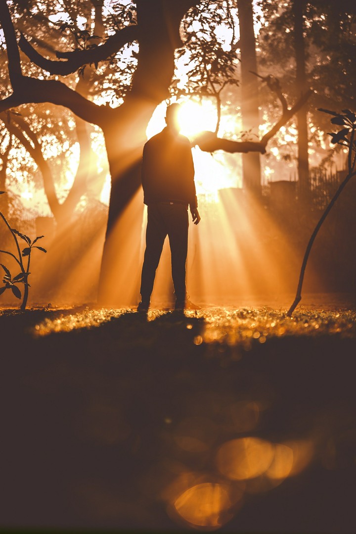 sunlight