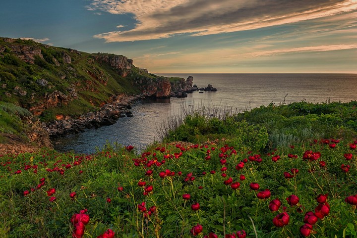 nature in sunset