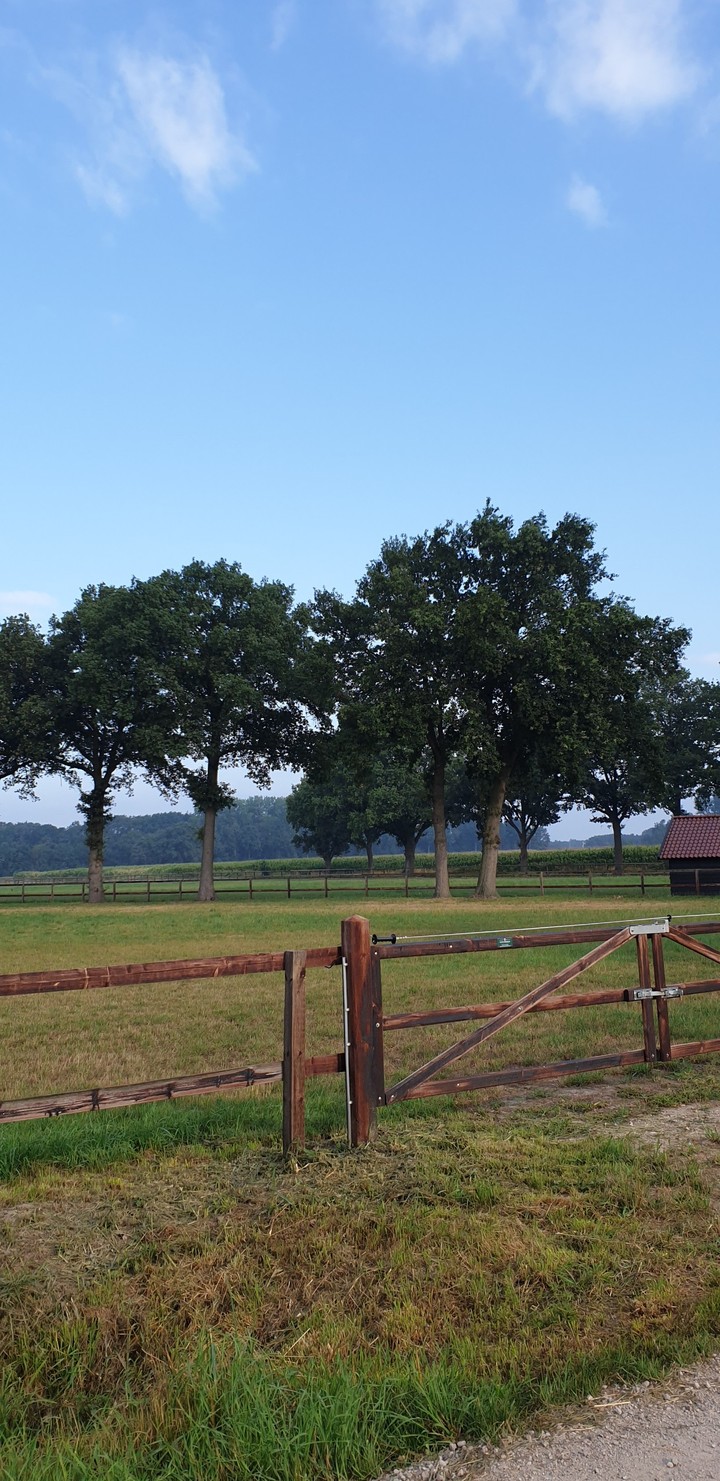 Country landscape