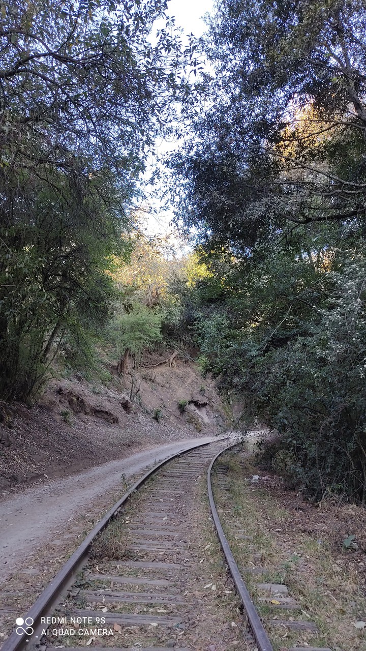 vías