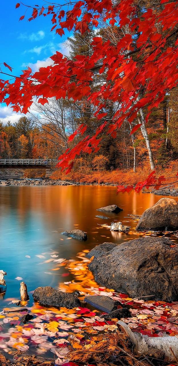 lake