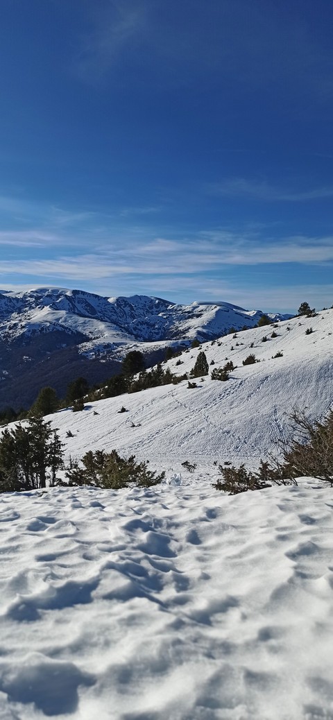 Pyrénées sauvages