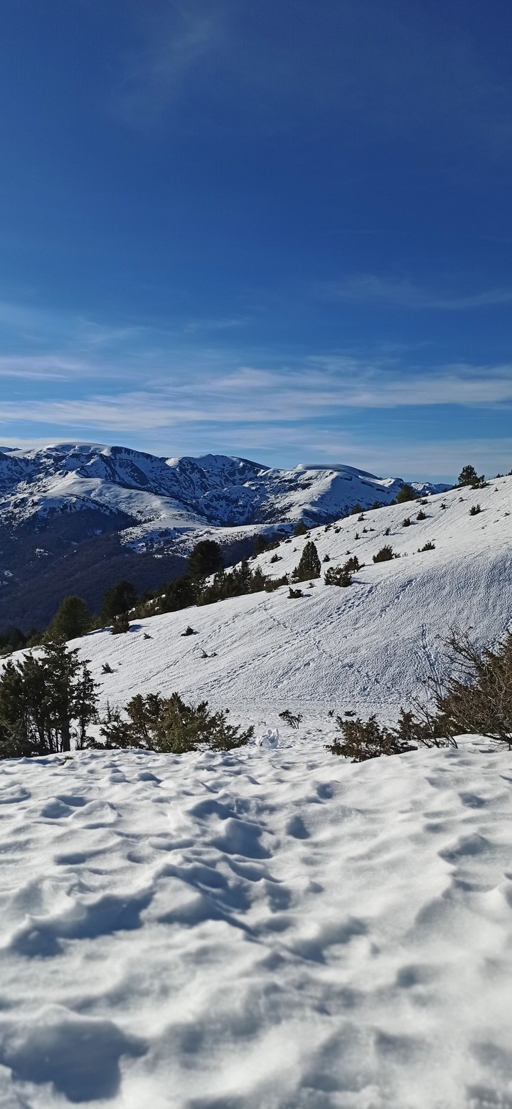Pyrénées sauvages