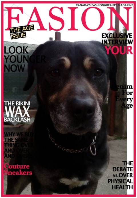 my dog is famous!