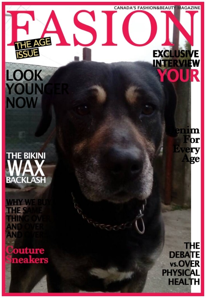 my dog is famous!