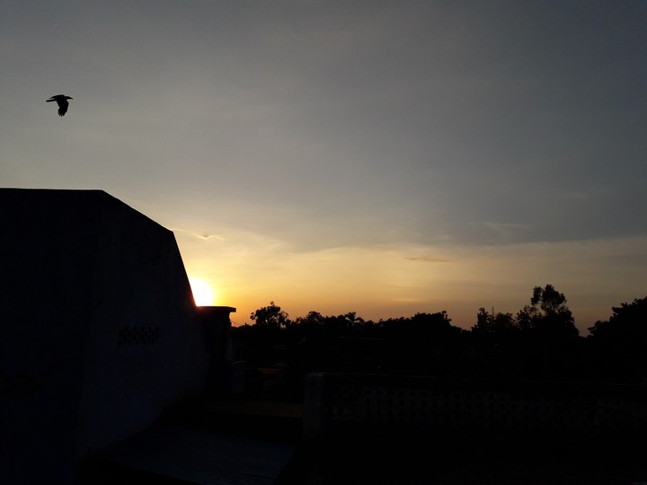 sunset