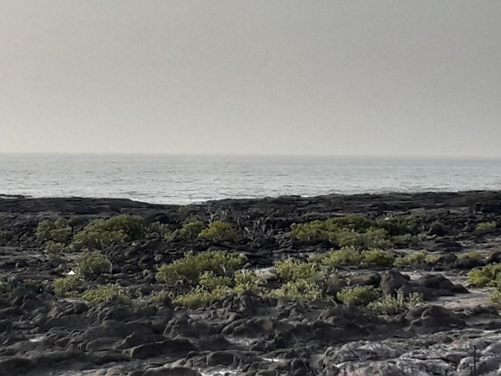 Sea