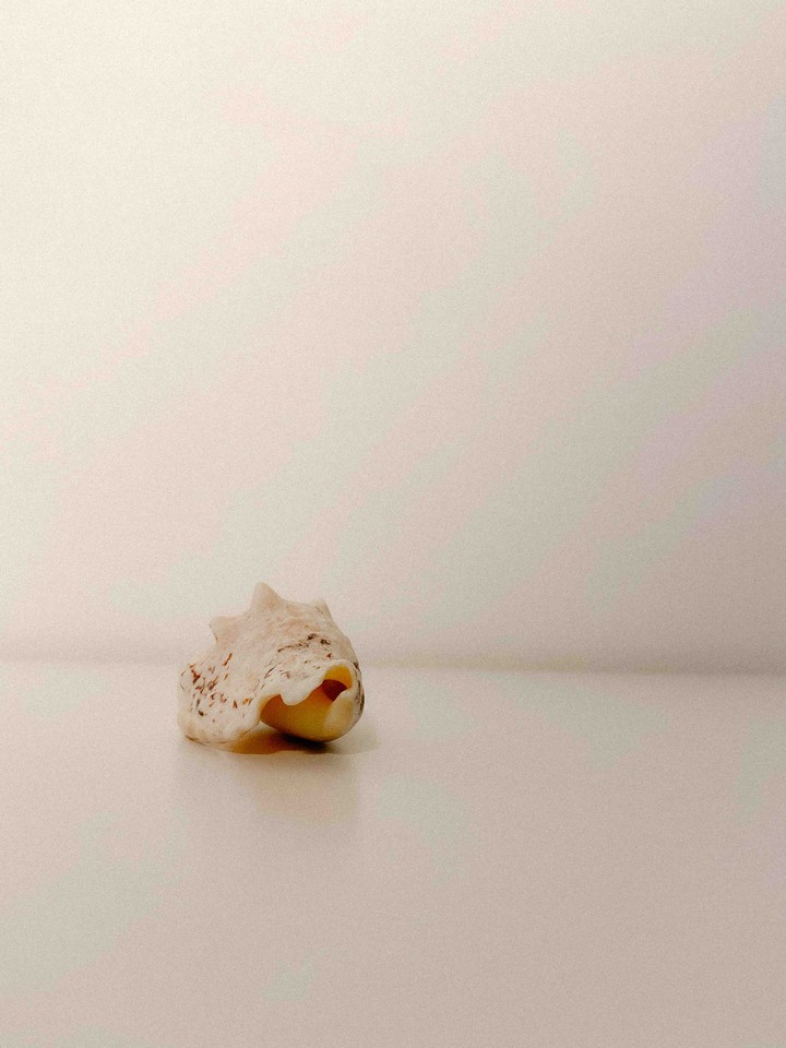 Sea treasure