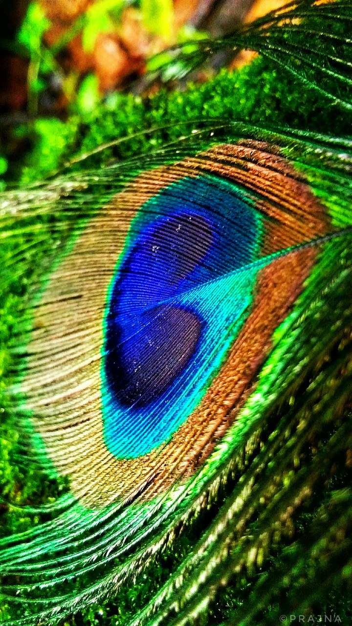 beautiful nature