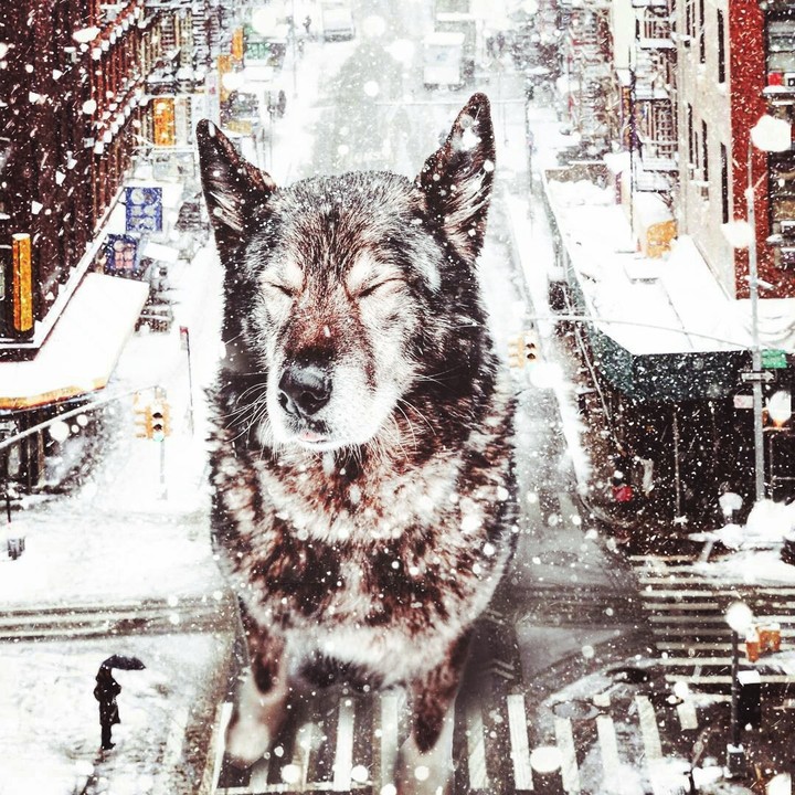 Кинконг уже не тот