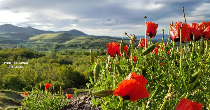 طبیعت زیبای همدان - بهار ۹۷