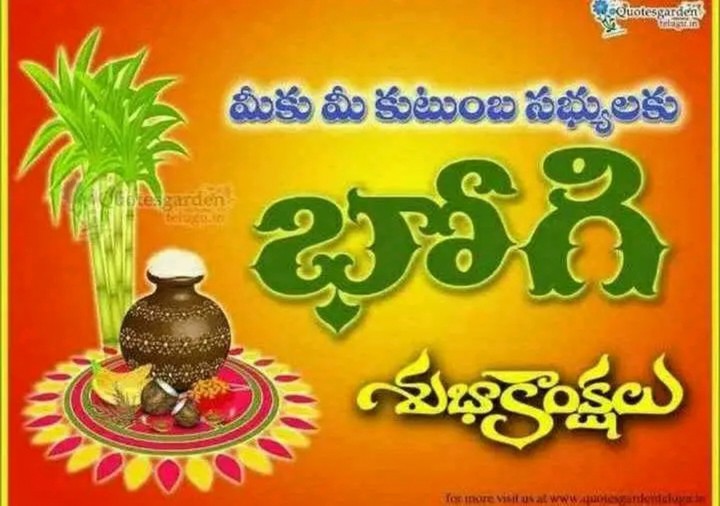 happy pongal