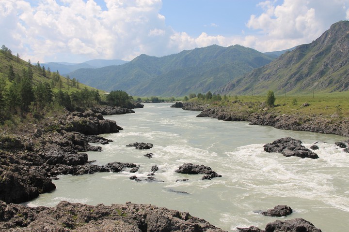 Altay