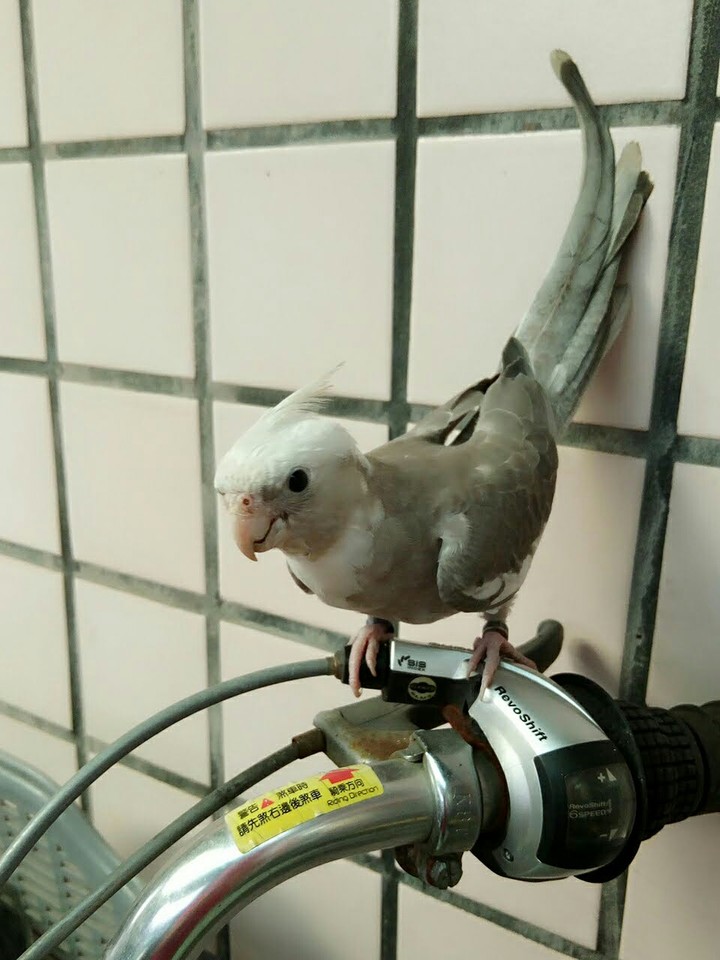 so cute