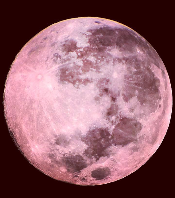 luna rosa