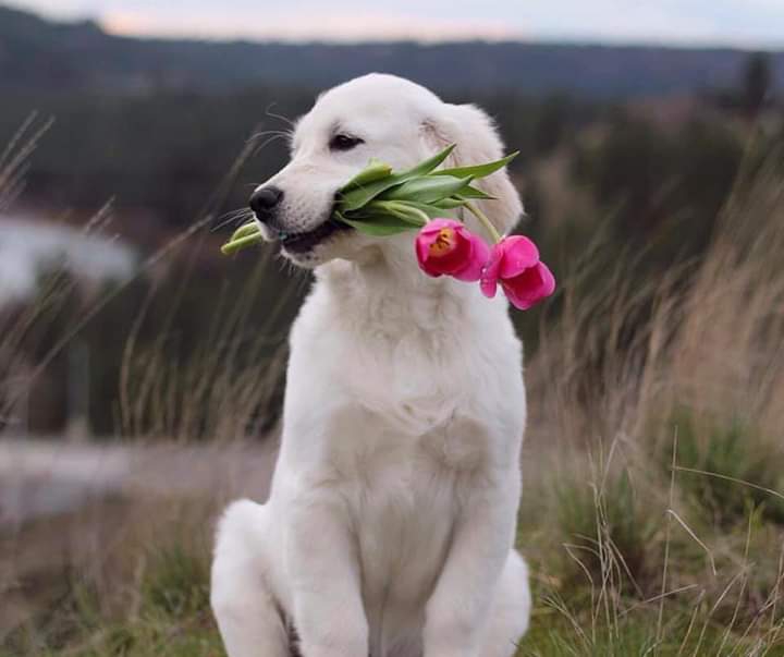⭐