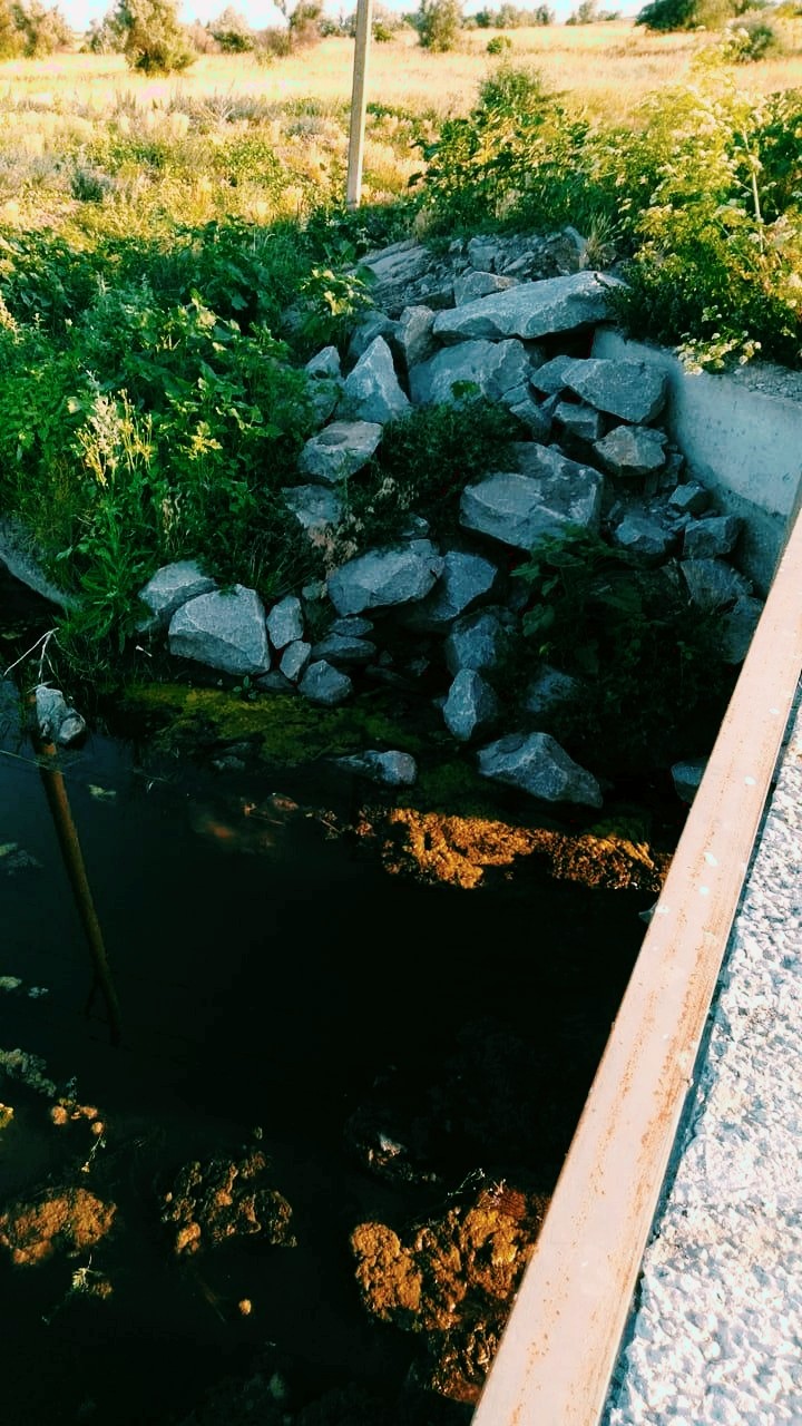 река
