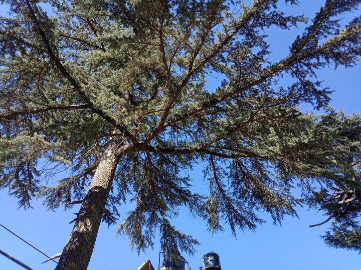 nature