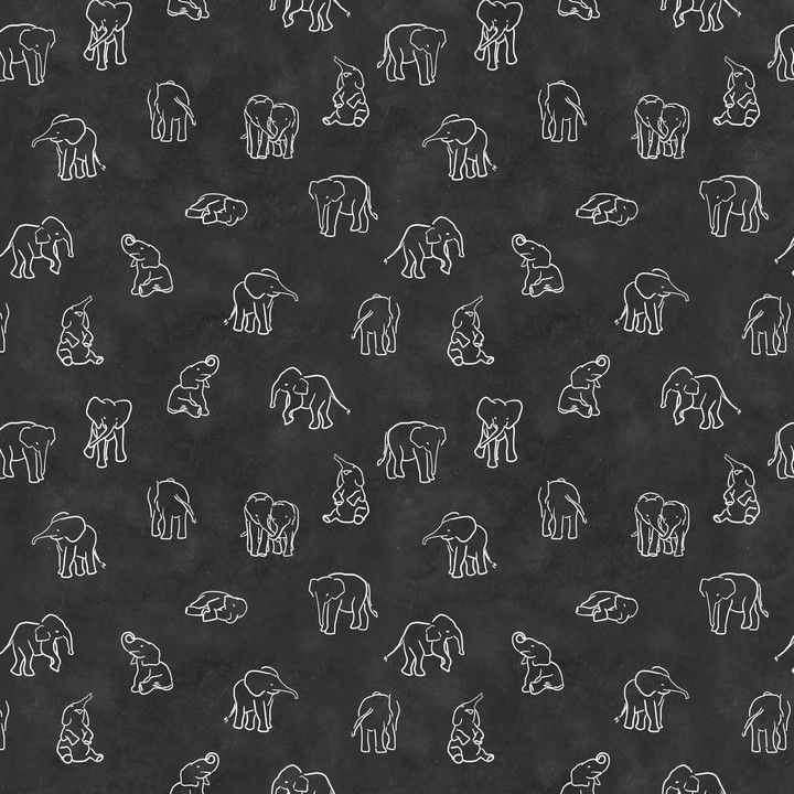 Elephants 