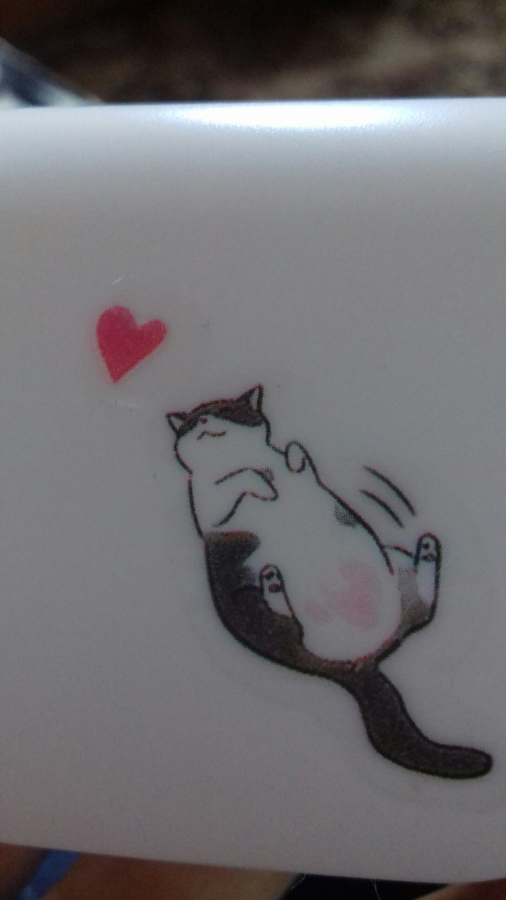 котик