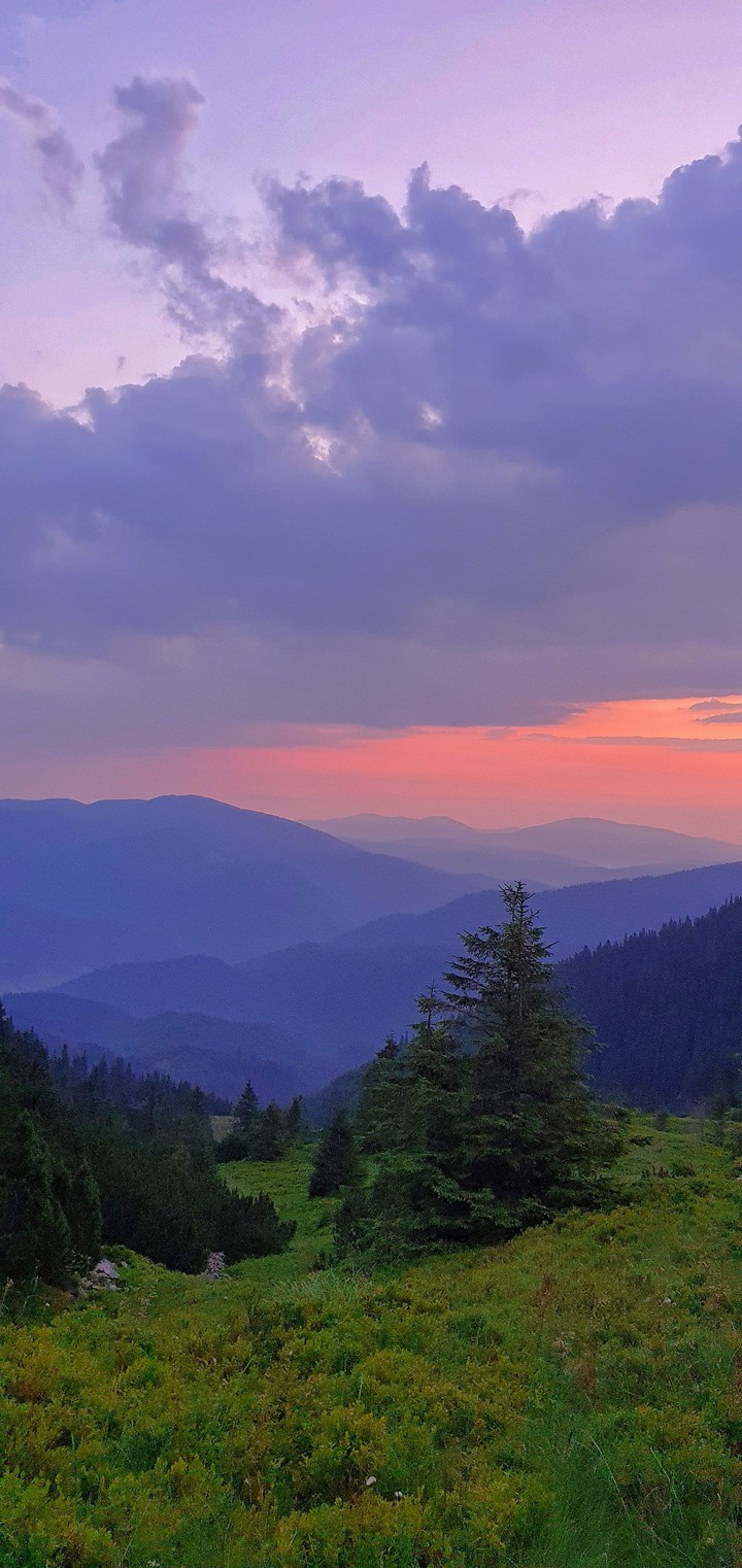 Carpathian mountains