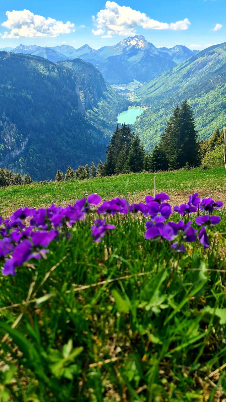 Montriond lake