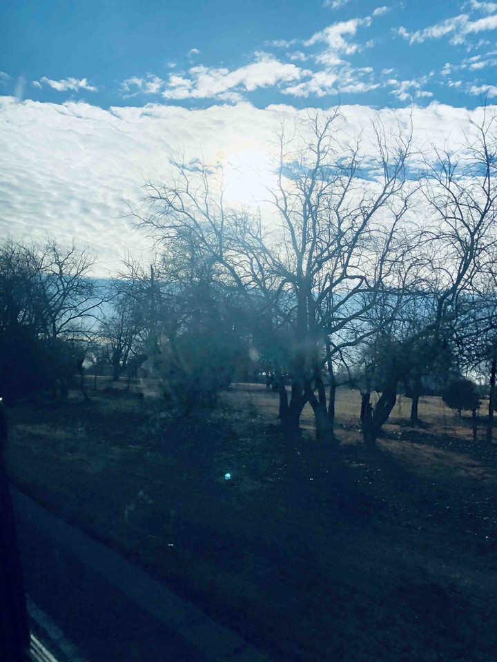 beautiful day
