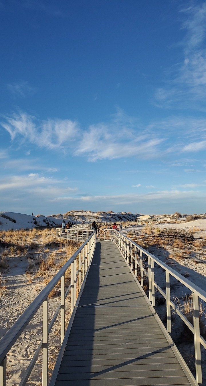 board walk in the dunes